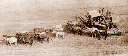  An early combine.
